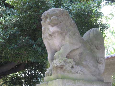 厚木神社の狛犬(右)昭和五